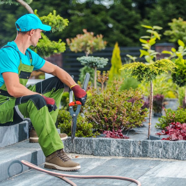 gardener-and-his-garden.jpg